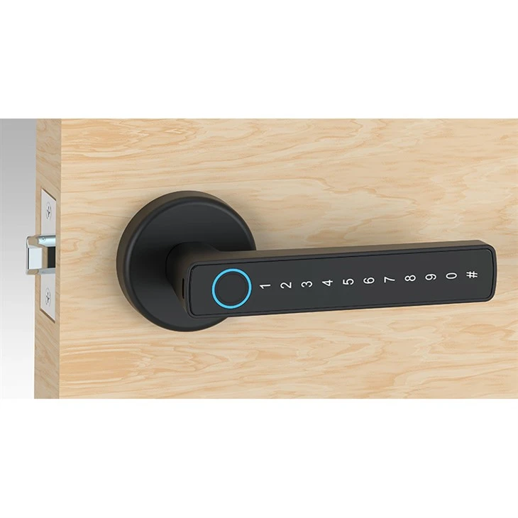 Security Screen Door Smart Lock manufacturers